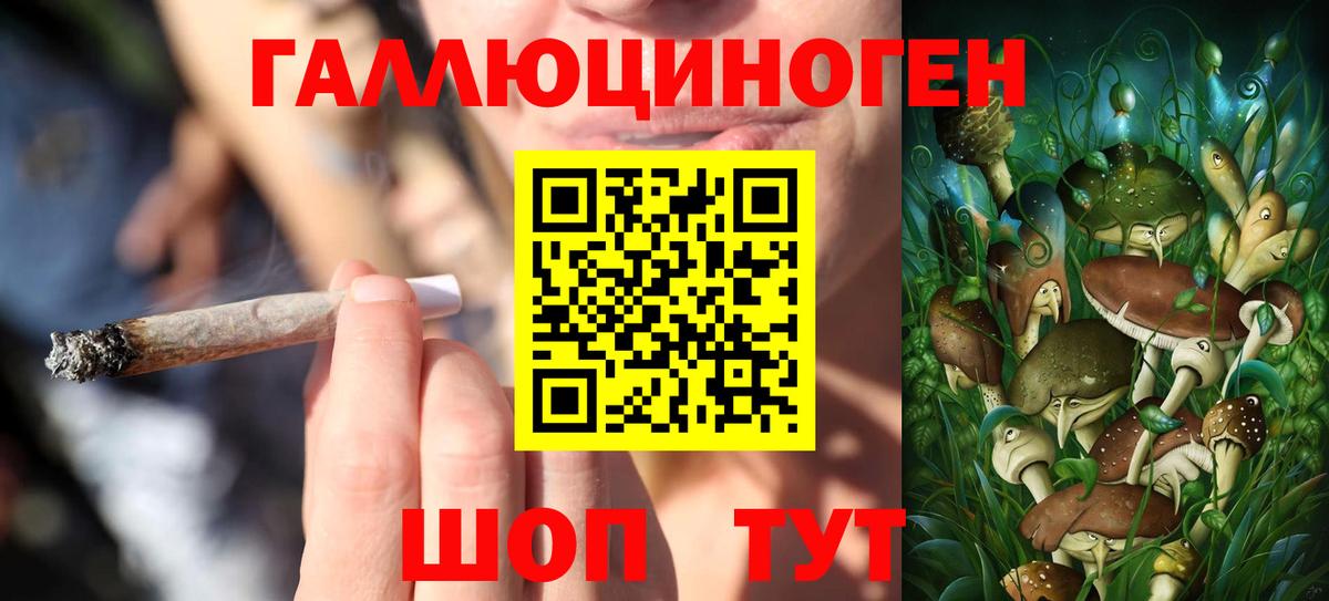 купить  цена  Псилоцибиновые грибы GOLDEN TEACHER  Вход с VPN  Дагестанские Огни  Галлюциногенные грибы прущие грибы 